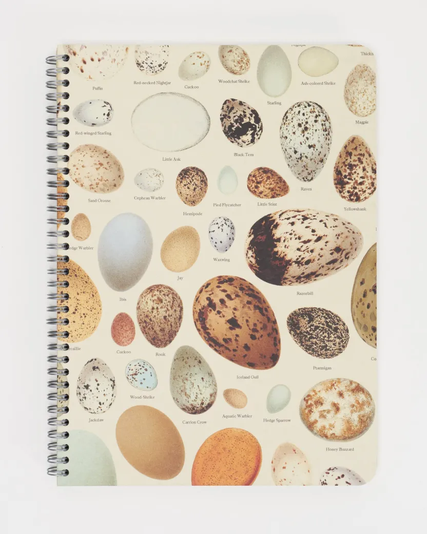 Cognitive Surplus Bird Eggs Spiral Notebook | * The Helix | Veterinary Science