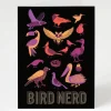 Cognitive Surplus Bird Nerd Greeting Card - Science Stationery | * Greeting Cards | Ornithology