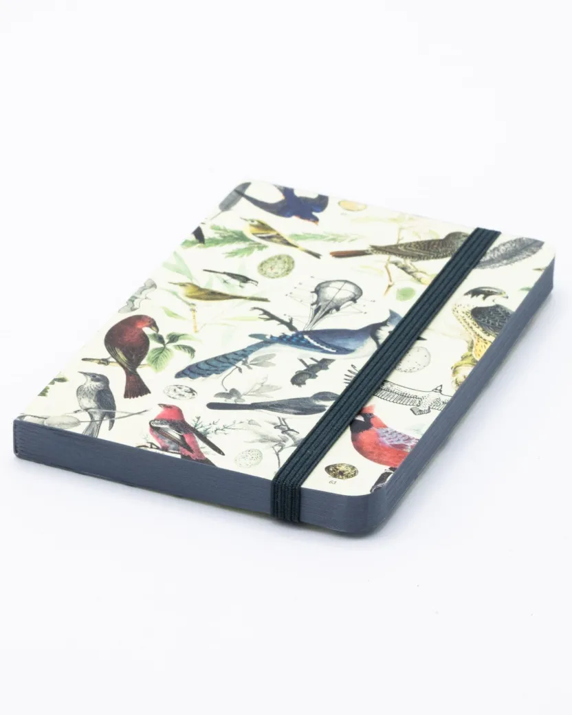 Cognitive Surplus Birds & Feathers Observation Softcover* The Observation | Ornithology