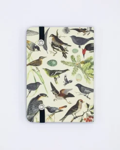 Cognitive Surplus Birds & Feathers Observation Softcover* The Observation | Ornithology