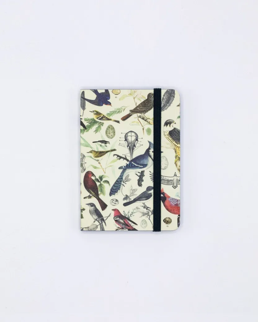 Cognitive Surplus Birds & Feathers Observation Softcover* The Observation | Ornithology