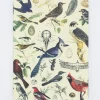 Cognitive Surplus Birds of Prey Notebook - Softcover | Ecology* The Experiment | Ornithology