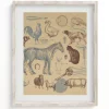 Cognitive Surplus Birds of Prey Scientific Illustration Art Print | * Wall Art | Veterinary Science