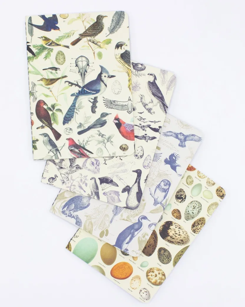 Cognitive Surplus Birds: Ornithology Pocket Notebook 4-pack* The Research | Veterinary Science