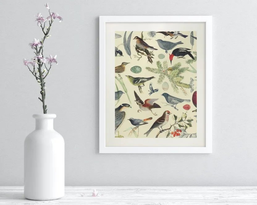 Cognitive Surplus Birds Scientific Illustration Art Print - Ornithology | * Wall Art | Ornithology