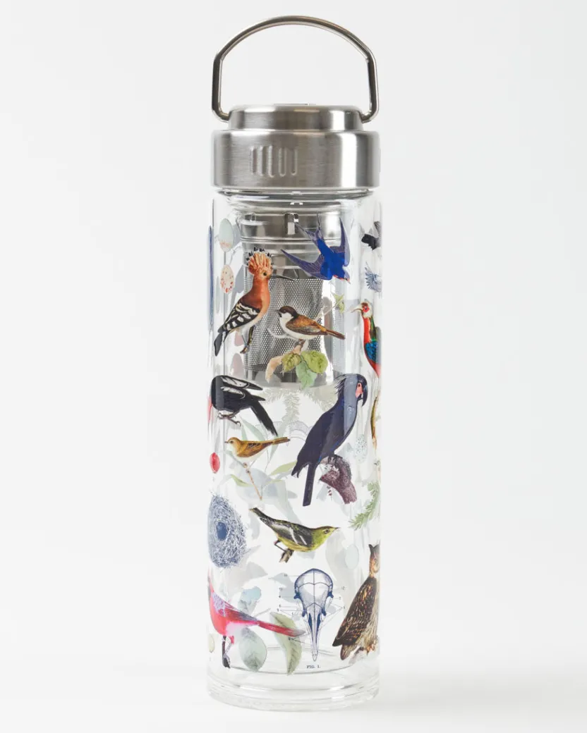 Cognitive Surplus Birds Tea Infuser - Ornithology Tea Strainer | * Tea Infusers | Ornithology