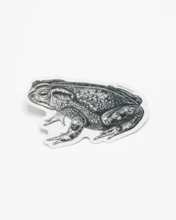 Cognitive Surplus Bocourt's Toad Sticker* Stickers | Biology