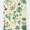 Cognitive Surplus Botanical Print Hardcover Notebook | Biology Gifts* The Hypothesis | Botany