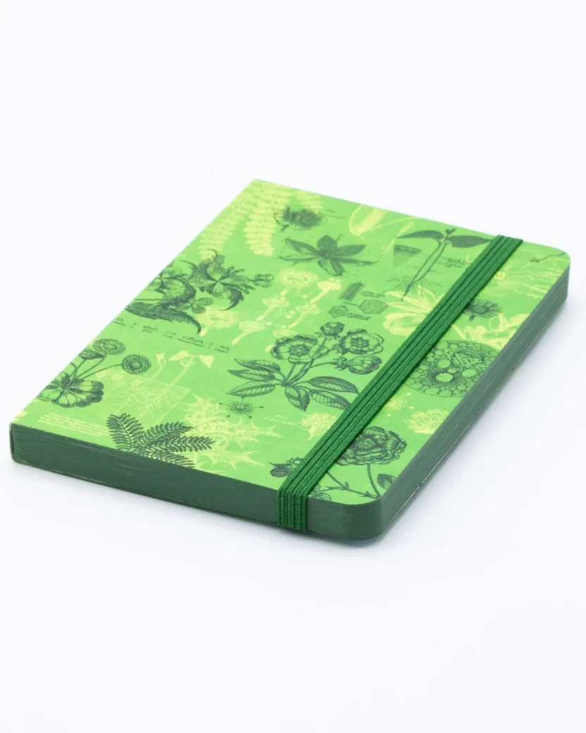 Cognitive Surplus Botanical Reverie Observation Softcover* The Observation | Biology
