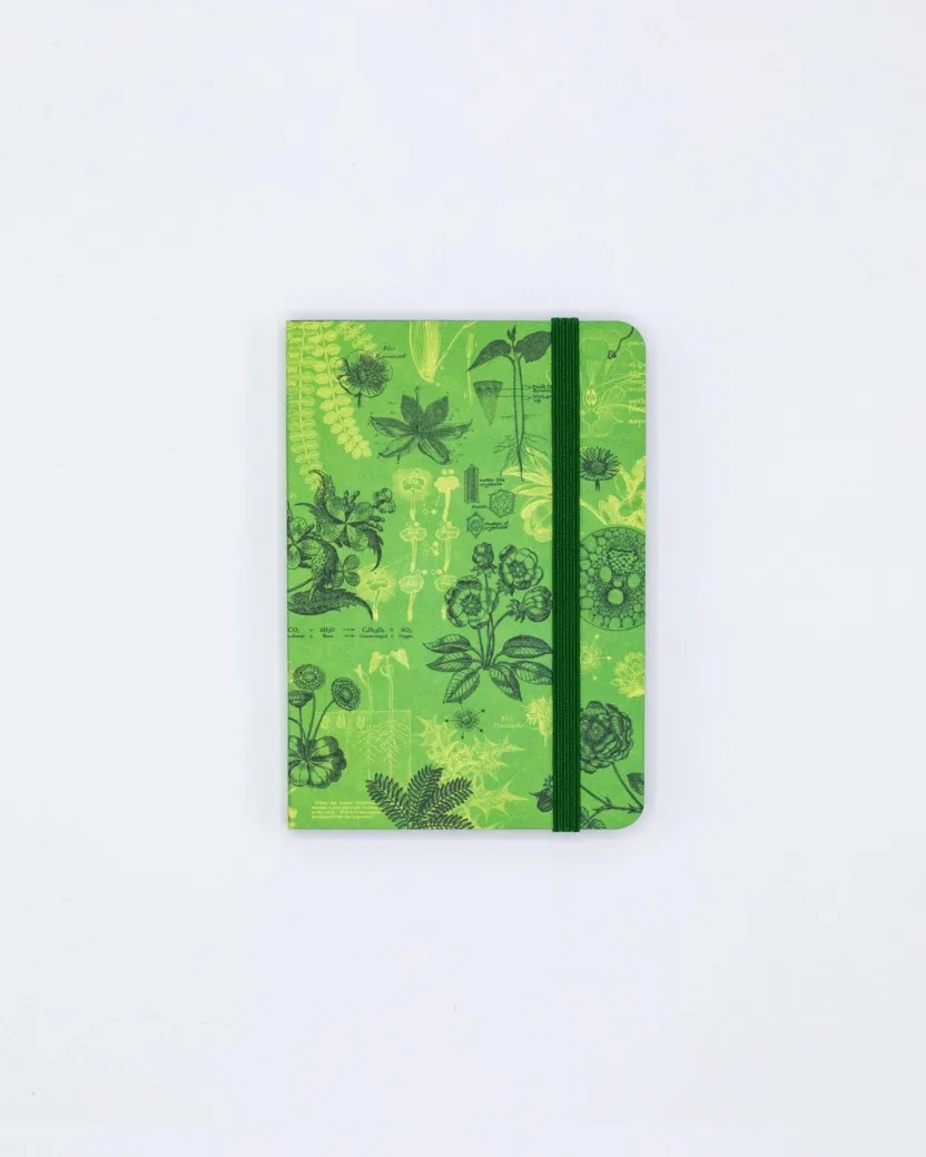 Cognitive Surplus Botanical Reverie Observation Softcover* The Observation | Biology