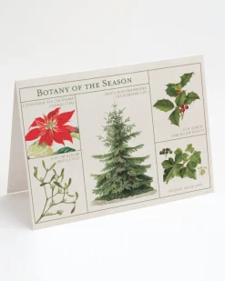 Cognitive Surplus Botany Holiday Card - Science Christmas Card | * Greeting Cards | Botany