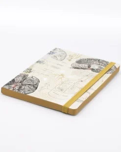 Cognitive Surplus Brain & Neurology A5 Softcover Notebook - Dotted Lines | * The Analysis | Psychology