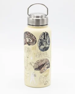Cognitive Surplus Brain & Neuroscience 18 oz Insulated Steel Bottle by* Travel Mugs | Water Bottles