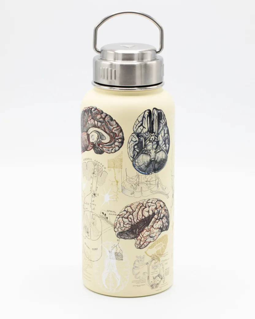Cognitive Surplus Brain & Neuroscience 18 oz Insulated Steel Bottle by* Travel Mugs | Water Bottles