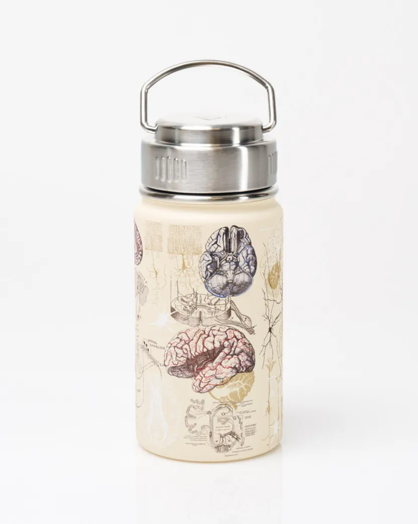 Cognitive Surplus Brain & Neuroscience 12 oz Insulated Steel Bottle by* Travel Mugs | Water Bottles