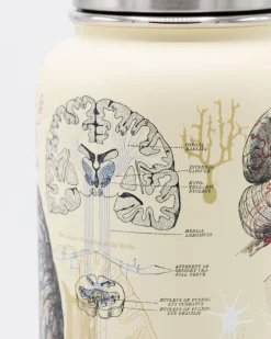 Cognitive Surplus Brain & Neuroscience 18 oz Insulated Steel Bottle by* Travel Mugs | Water Bottles