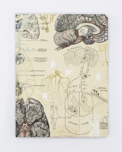Cognitive Surplus Brain & Neuroscience Hardcover Notebook* The Hypothesis | Psychology