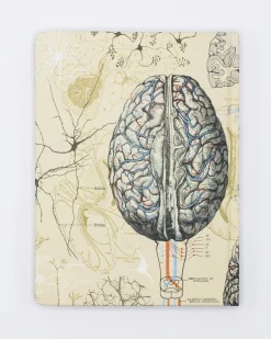 Cognitive Surplus Brain & Neuroscience Hardcover Notebook* The Hypothesis | Psychology