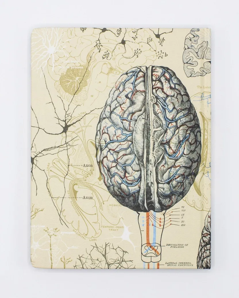 Cognitive Surplus Brain & Neuroscience Hardcover Notebook* The Hypothesis | Psychology