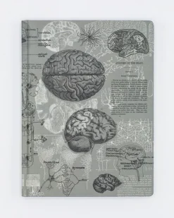 Cognitive Surplus Brain Anatomy Hardcover Notebook | Dot Grid Journal* The Hypothesis | Psychology