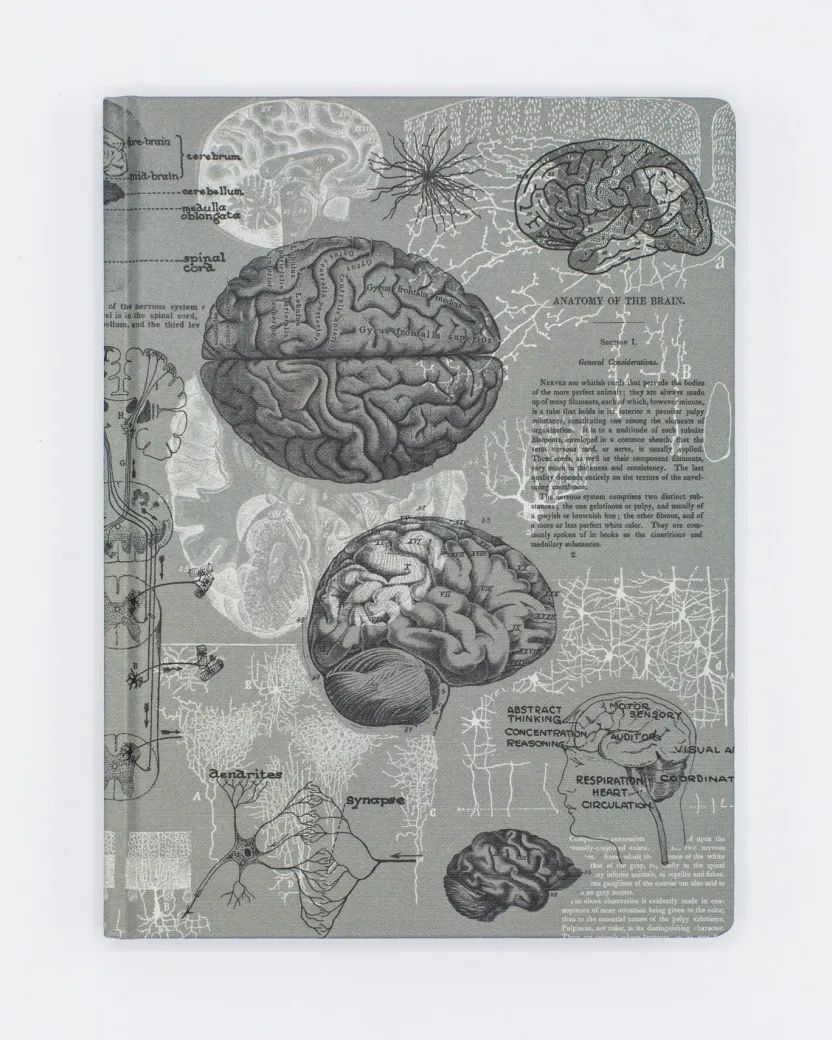 Cognitive Surplus Brain Anatomy Hardcover Notebook | Dot Grid Journal* The Hypothesis | Psychology