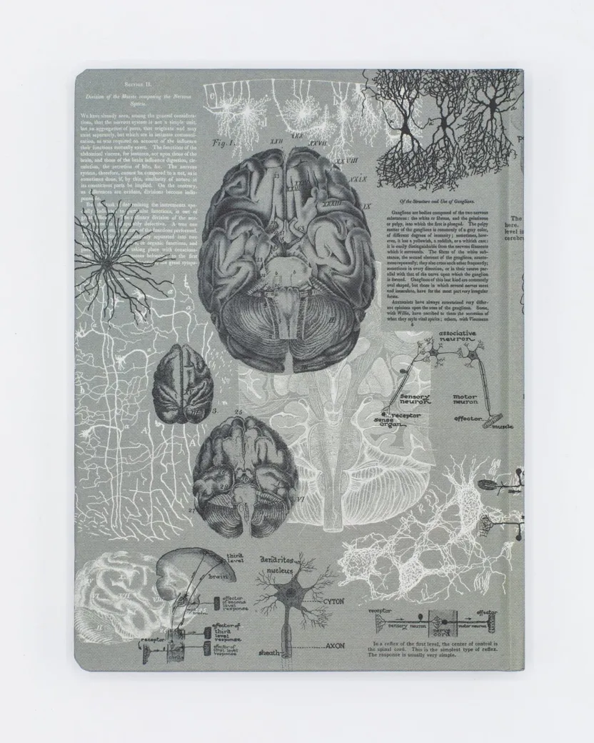 Cognitive Surplus Brain Anatomy Hardcover Notebook | Dot Grid Journal* The Hypothesis | Psychology