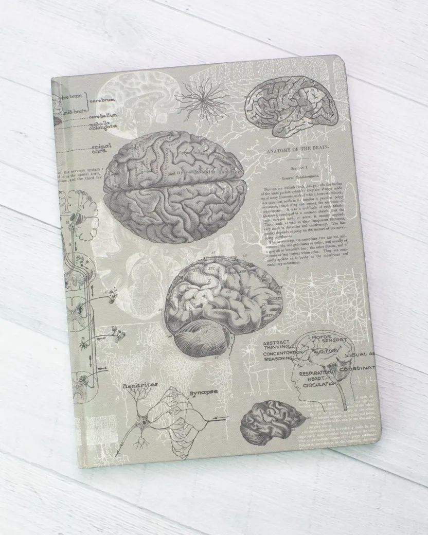 Cognitive Surplus Brain Anatomy Hardcover Notebook | Dot Grid Journal* The Hypothesis | Psychology