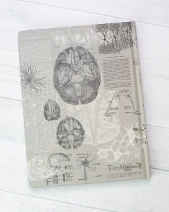 Cognitive Surplus Brain Anatomy Hardcover Notebook | Dot Grid Journal* The Hypothesis | Psychology