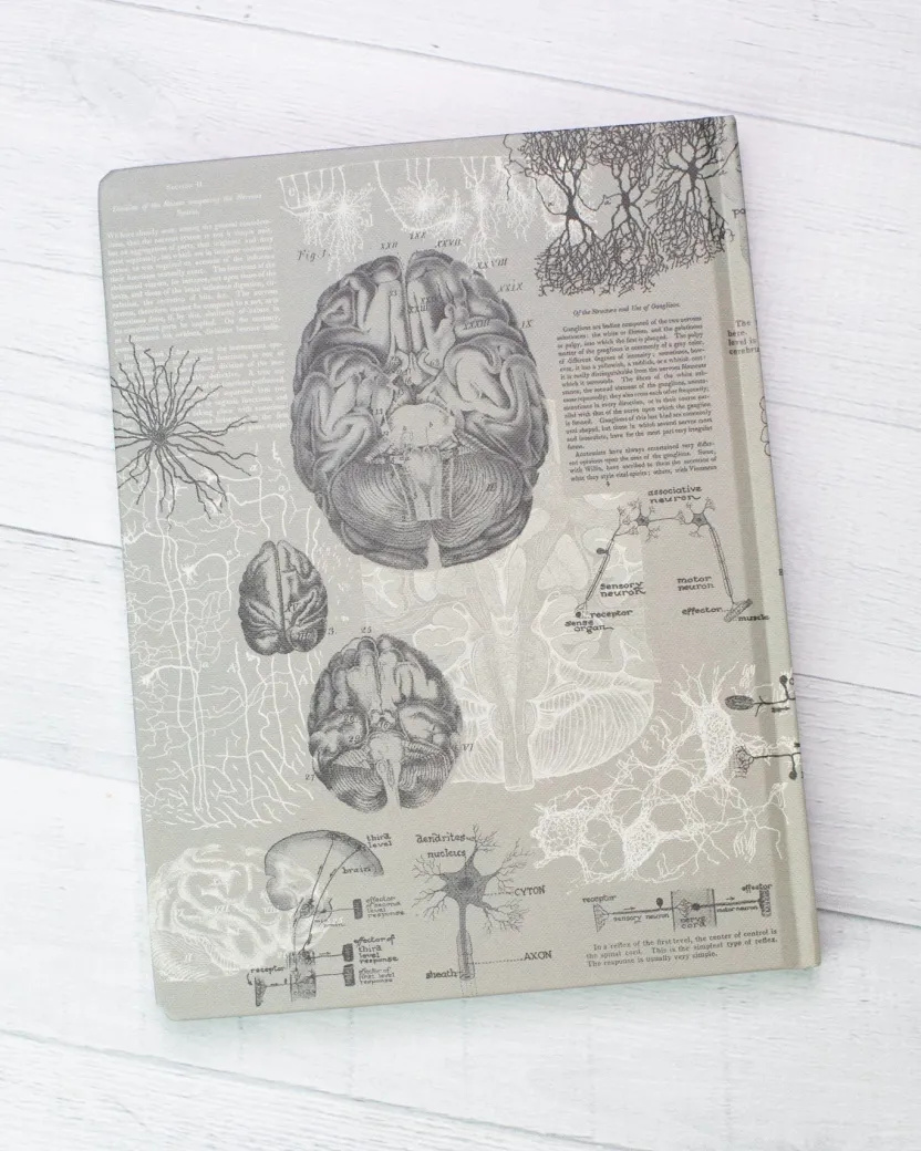 Cognitive Surplus Brain Anatomy Hardcover Notebook | Dot Grid Journal* The Hypothesis | Psychology