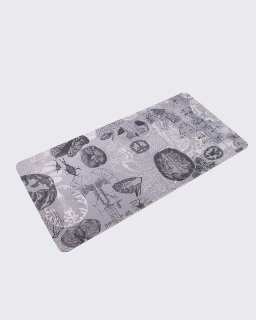 Cognitive Surplus Brain Anatomy Mouse Pad* Mouse Pads | Psychology