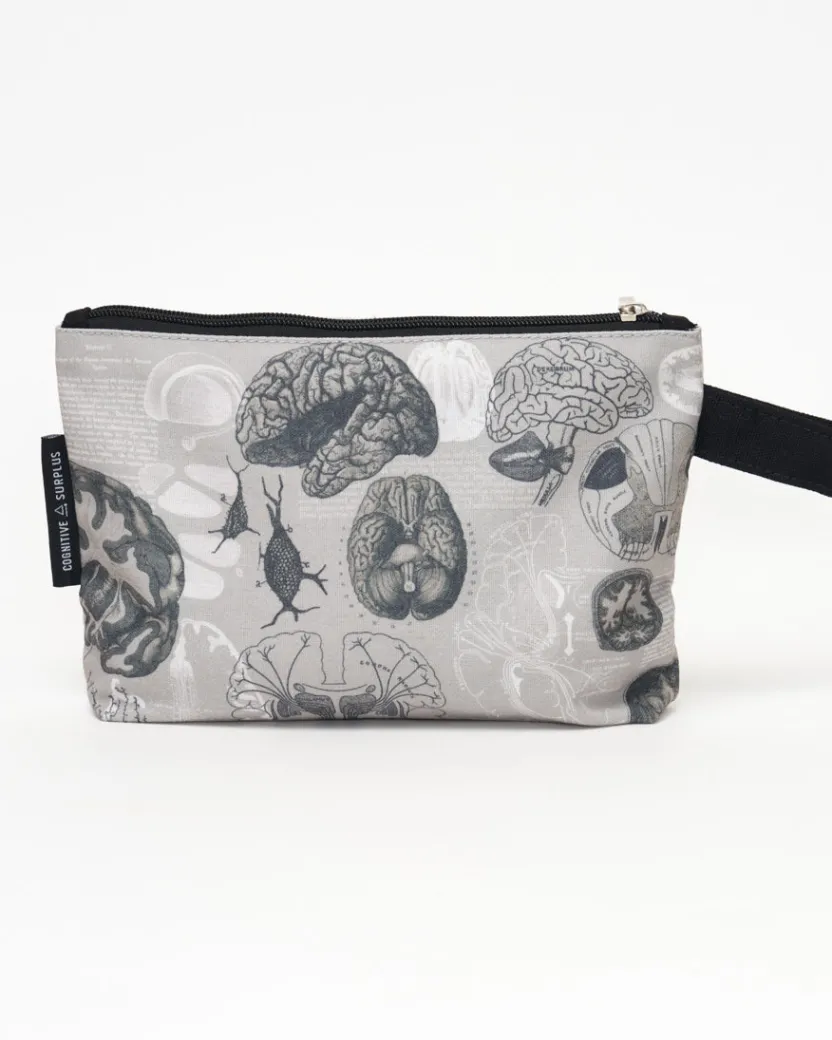 Cognitive Surplus Brain Anatomy Pencil Bag* Pencil Bags | Psychology