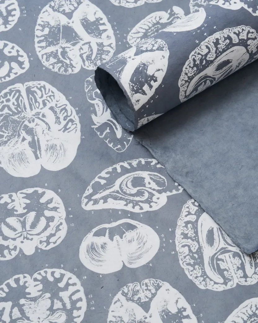 Cognitive Surplus Brain Anatomy Wrapping Paper* Wrapping Paper | Psychology