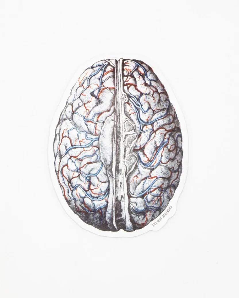 Cognitive Surplus Brain Blood Flow Sticker* Stickers | Psychology