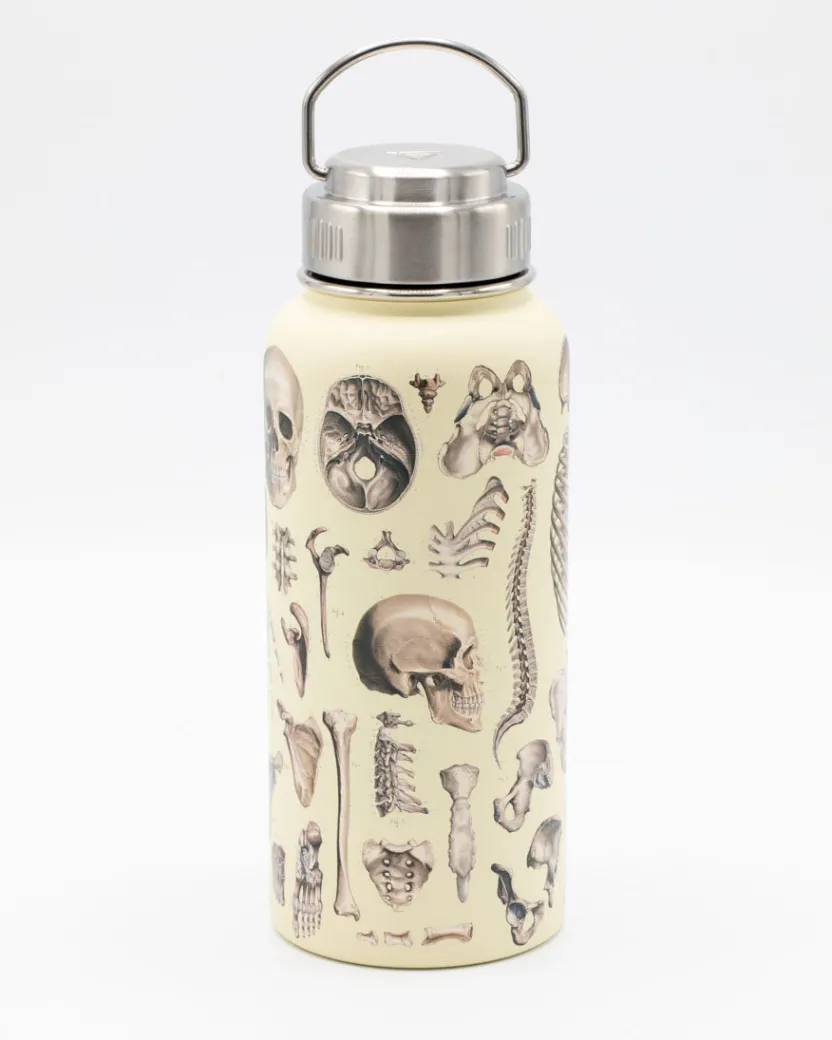Cognitive Surplus Brain Neuroscience 32 oz Insulated Steel Bottle by* Travel Mugs | Water Bottles