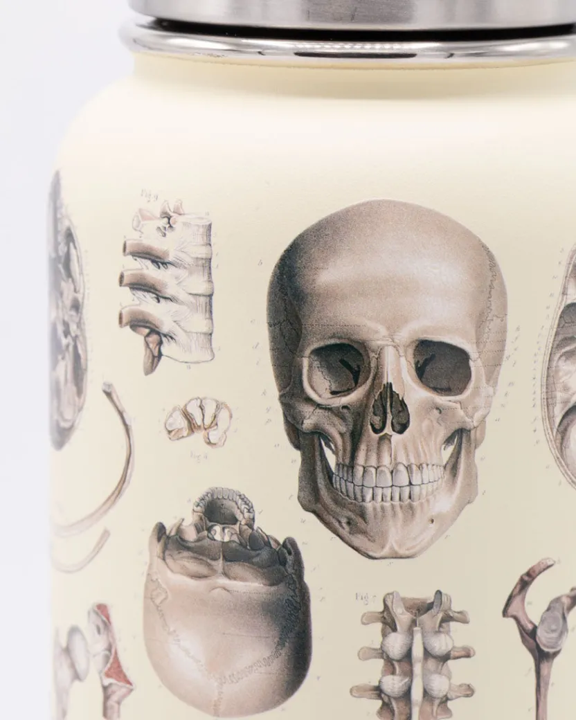 Cognitive Surplus Brain Neuroscience 32 oz Insulated Steel Bottle by* Travel Mugs | Water Bottles