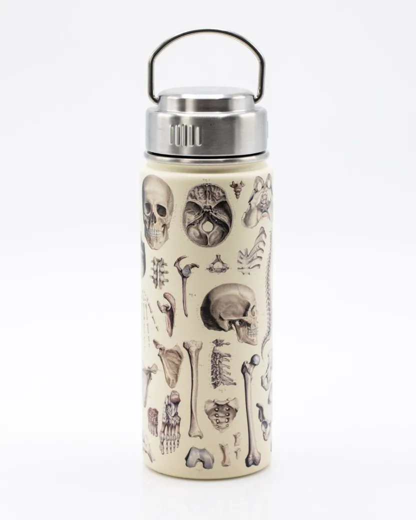 Cognitive Surplus Brain Neuroscience Stainless Steel Flask / Insulated Travel Thermos* Travel Mugs | Water Bottles