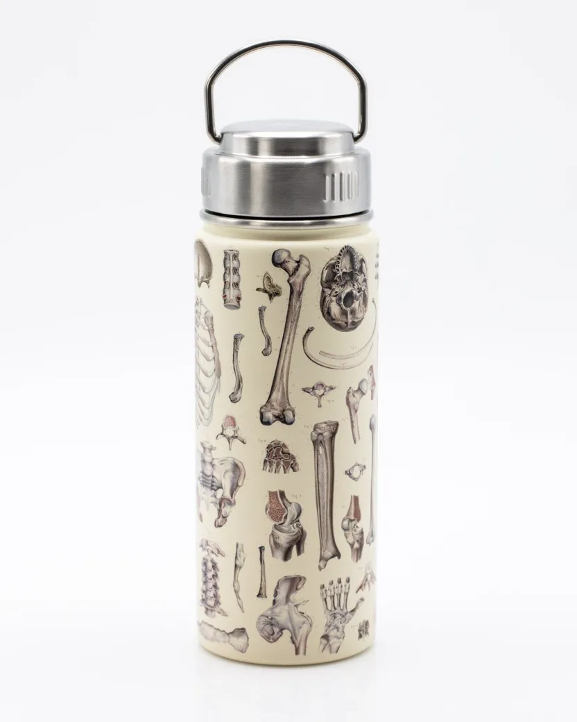 Cognitive Surplus Brain Neuroscience Stainless Steel Flask / Insulated Travel Thermos* Travel Mugs | Water Bottles