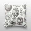 Cognitive Surplus Brain Scan Pillow Cover* Pillow Covers | Psychology