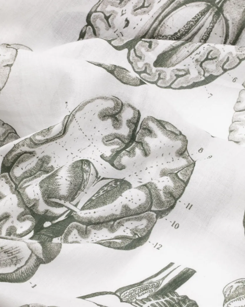 Cognitive Surplus Brain Scan Scarf* Scarves | Psychology