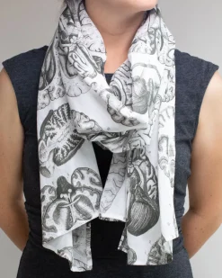 Cognitive Surplus Brain Scan Scarf* Scarves | Psychology