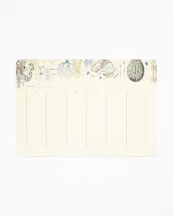 Cognitive Surplus Brain Science Notepads - Vintage Medicine Pad | * Notepads | Psychology