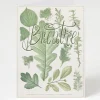 Cognitive Surplus Breathe Card - Botanical Stationery | * Greeting Cards | Botany