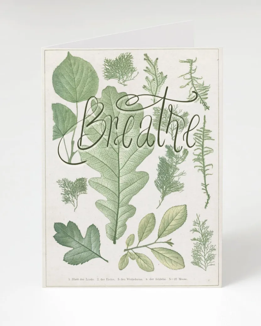Cognitive Surplus Breathe Card - Botanical Stationery | * Greeting Cards | Botany