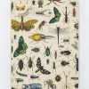 Cognitive Surplus Butterflies & Beetles Hardcover - Blank* The Theory | Entomology