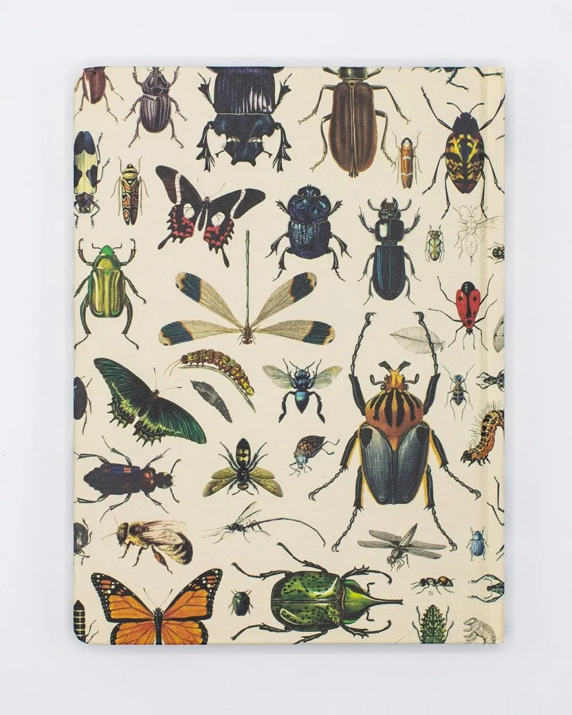 Cognitive Surplus Butterflies & Beetles Hardcover - Blank* The Theory | Entomology