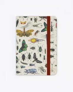 Cognitive Surplus Butterflies & Beetles Observation Softcover* The Observation | Entomology