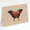 Cognitive Surplus Butterfly Greeting Card - Insect Print | * Greeting Cards | Entomology