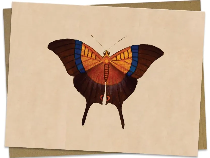Cognitive Surplus Butterfly Greeting Card - Insect Print | * Greeting Cards | Entomology