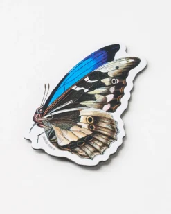 Cognitive Surplus Butterfly Magnet* Magnets | Entomology