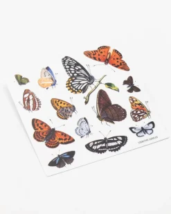 Cognitive Surplus Butterfly Party Sticker* Stickers | Entomology